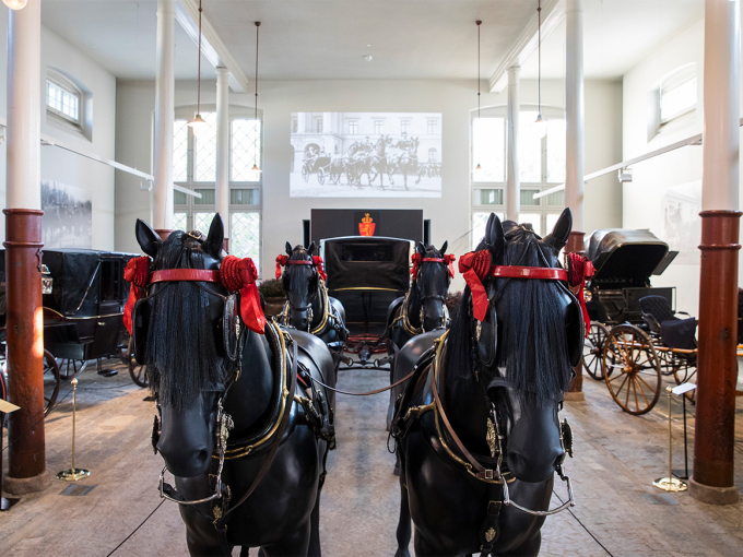 One of the main elements of the exhibition is a fully kitted-out landau drawn by four horses as it would have been when taking King Haakon to the Storting. Such an equipage could be over 12 metres long. In comparison, a modern bus is between 12 to 15 metres long. Photo: Håkon Mosvold Larsen / NTB scanpix  